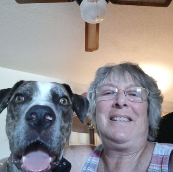 Meet your Posher, Nancy - Picture 1 of 1